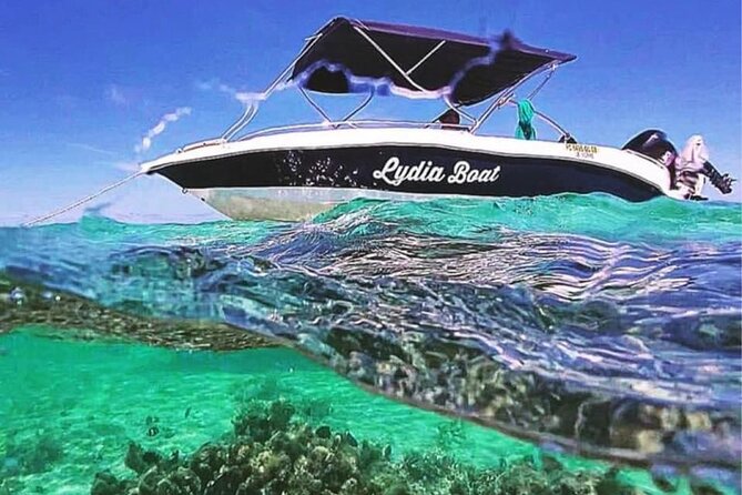 Lydia Boat Mauritius :Private boat tour:Whales&Dolphins encounter - Private Speedboat to Benitier Island for Whales and Dolphins