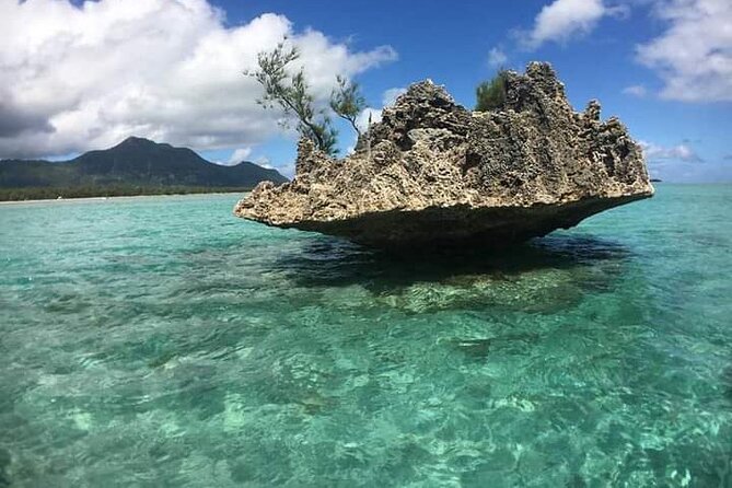 Lydia Boat Mauritius :Private boat tour:Whales&Dolphins encounter - The Boat Day Vibe: Private Comfort, Early Access, and Wildlife Bonuses