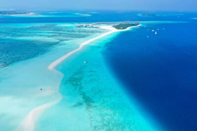 Maafushi: Nurse Sharks, Stingrays, Sand Bank and Dolphins - Stop 1: Speedboat Ride to Dhiggiri Shark Point