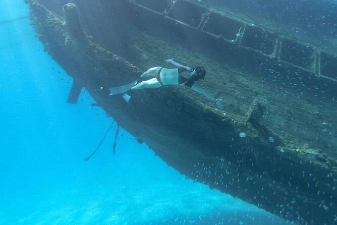 Maafushi: Ship wreck & Nurse shark snorkeling with Dolphin watching - Underwater photos and videos: value beyond souvenirs