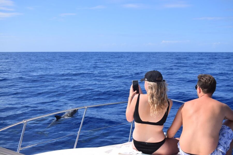 Madeira: 2.5-Hour Whale and Dolphin-Watching Cruise - When whale watching is limited: sunset departures and practical expectations