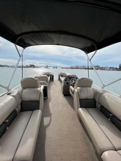 Madeira Beach: 1.5 Hour Dolphin Excursion - Captain Ryan Runs the Show (and You Feel It)