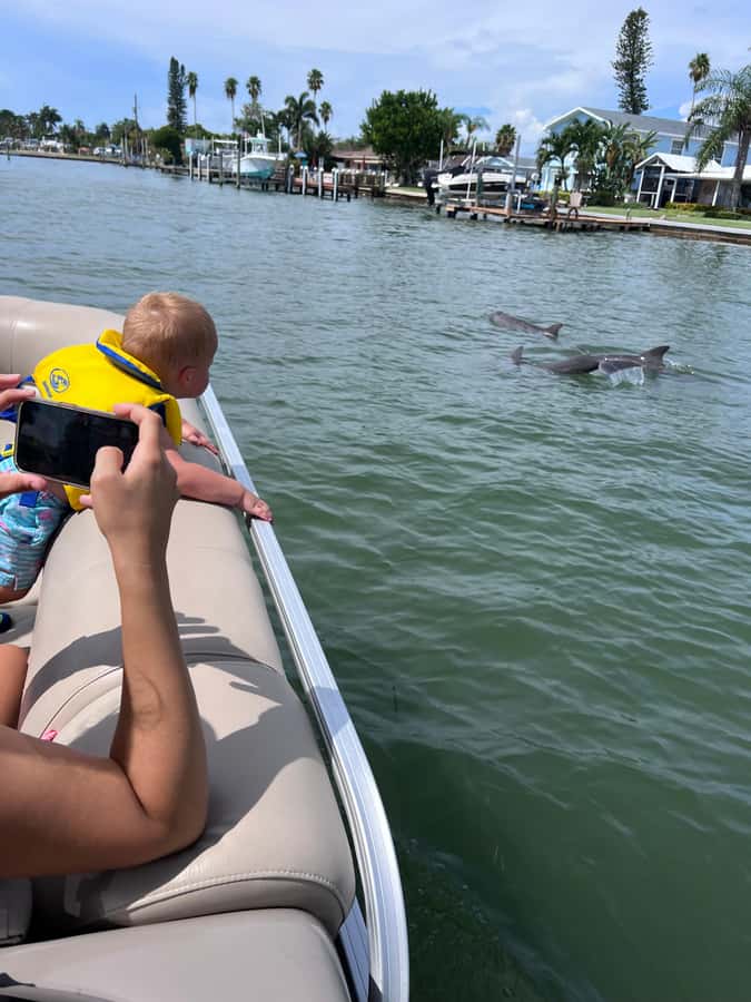 Madeira Beach: 1.5 Hour Dolphin Excursion - When This Excursion Is a Great Fit