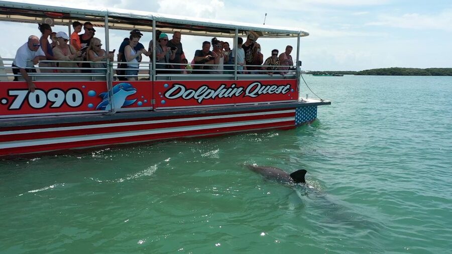 Madeira Beach: Guided Dolphin Watching Eco-Friendly Cruise - Entering Boca Ciega Bay: Why This Cruise Is Such a Good Use of Time