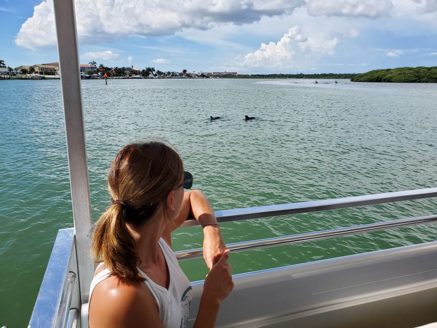 Madeira Beach: Guided Dolphin Watching Eco-Friendly Cruise - The Guided Part: Learning the Area and Wildlife Without Making It Feel Like a Lecture