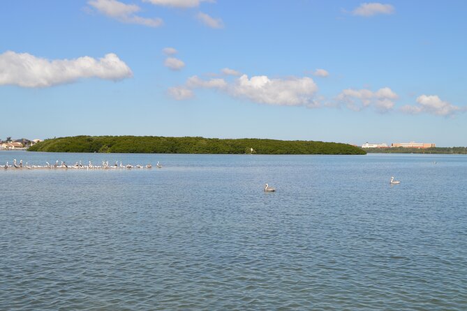 Madeira Beach - Shell Key - Dolphins - Half Day Private Boat Tour - Captain Mike’s hosting: flexibility, safety, and local storytelling