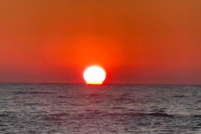Madeira Beach - Shell Key - Dolphins - Half Day Private Boat Tour - What’s included vs. what you should bring