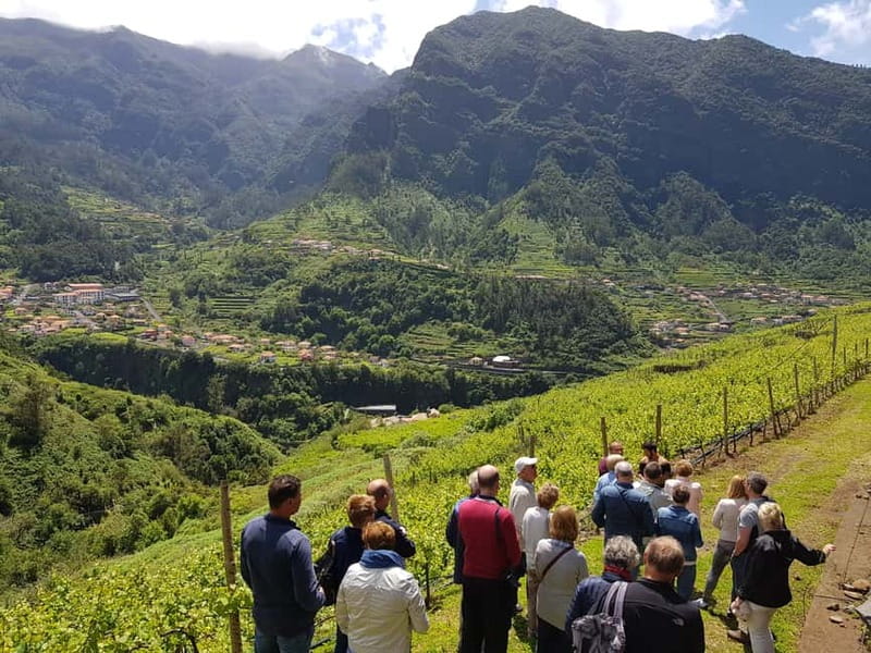 Madeira: Cabo Girão, Wines Experience and Dolphins Watching - Should you book? My straight answer