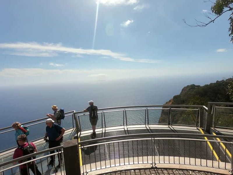 Madeira: Cabo Girão, Wines Experience and Dolphins Watching - Cabo Girão: Europe’s sea-cliff views and that glass platform