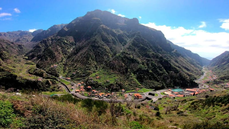 Madeira: Cabo Girão, Wines Experience and Dolphins Watching - Quinta do Barbusano Winery: the tasting sequence you’ll actually remember