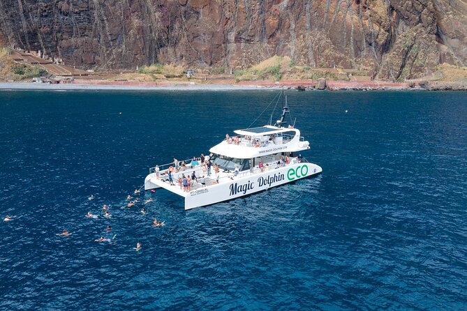 Madeira Dolphin and Whale Watching on a Ecological Catamaran - Key things I think are worth your attention