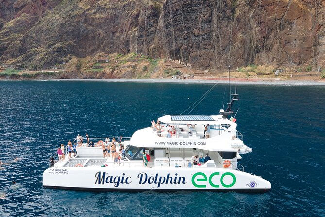 Madeira Dolphin and Whale Watching on a Ecological Catamaran - Madeira’s south coast: why this cruise can pay off