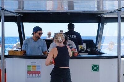 Madeira Dolphin and Whale Watching on a Ecological Catamaran - What you might spot: dolphins, pilot whales, and other good surprises