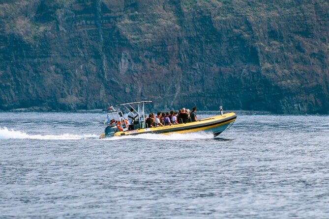Madeira Dolphin & Whale Watching Tour - The Boat, Safety, and Comfort Tips (Wind, Splash, and Seasickness)