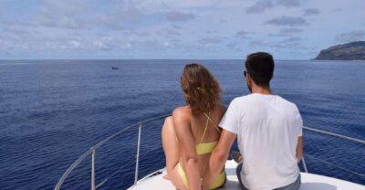 Madeira: Whale and Dolphin Watching Private Cruise - How Whale and Dolphin Spotting Works (Respectfully) off Madeira