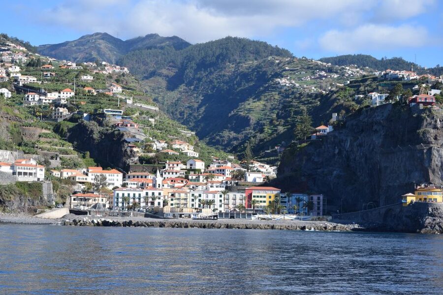 Madeira: Whale and Dolphin Watching Private Cruise - Price and Value: Paying for a Whole Yacht (and How to Get the Best Deal)