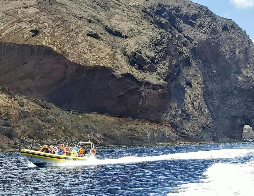 Madeira: Whale and Dolphin Watching Tour - Endemic seabirds as you speed along the coast