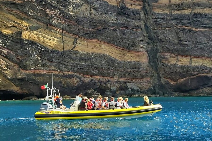 Madeira: Whale and Dolphin Watching Tour - Summer bonus: snorkeling and swimming at Ponta de São Lourenço