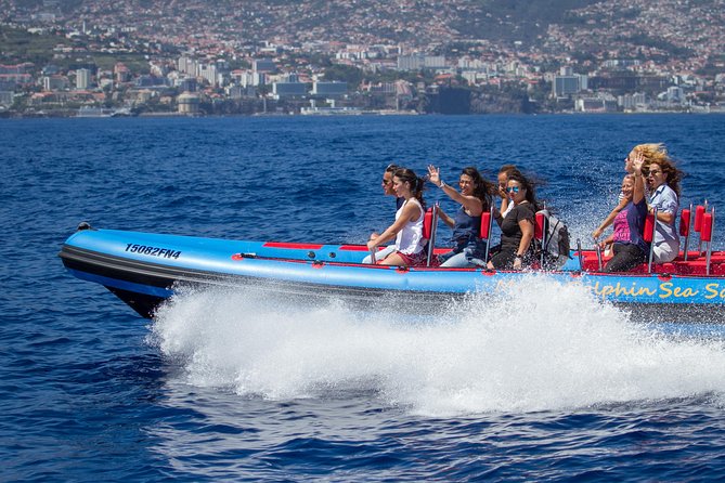 Magic Dolphin Sea Safaris - Key Highlights You’ll Actually Care About
