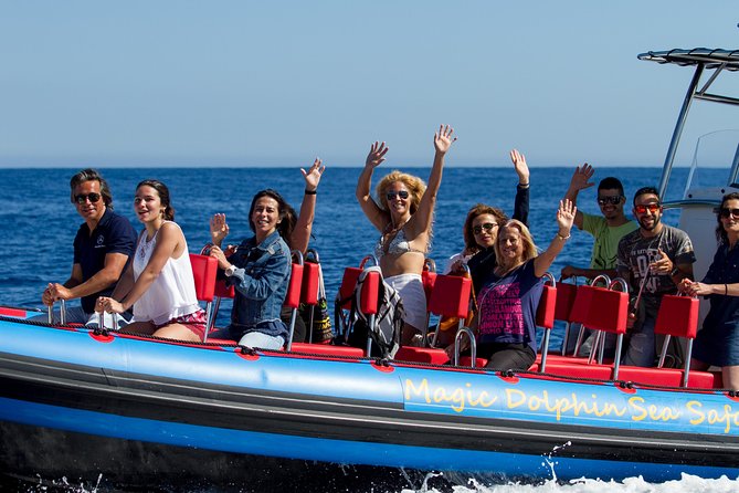 Magic Dolphin Sea Safaris - Boarding at Magic Dolphin in Funchal: Fast, Simple, and Close to Town
