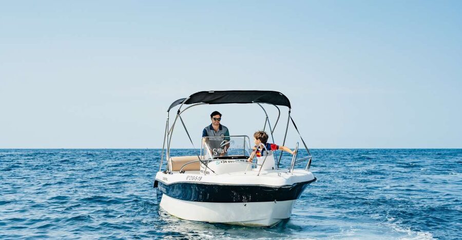 Malaga: License-free Boat Rental for Dolphin Watching - Key Highlights You’ll Care About