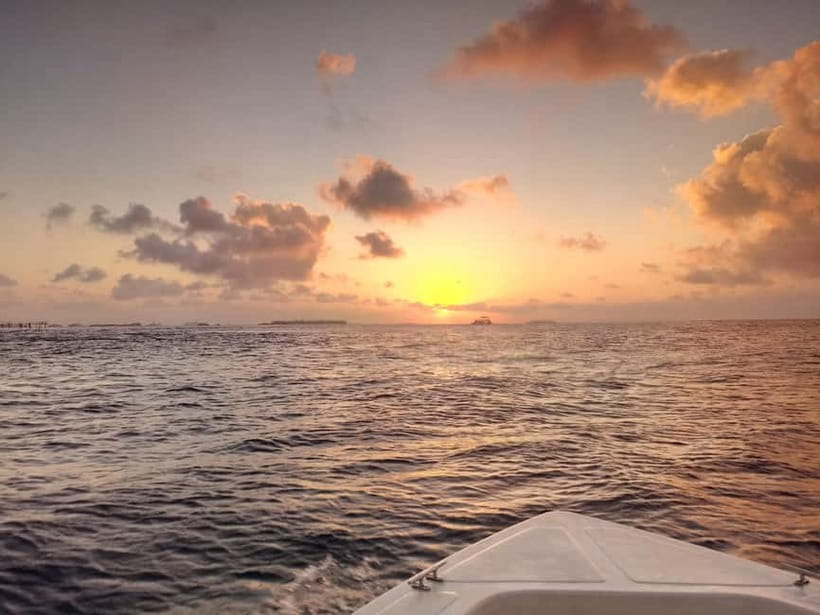 Maldives: Sunset Cruise with Dolphin Watching - Dolphin watching in Kaafu Atoll: what to look for (and what to expect)