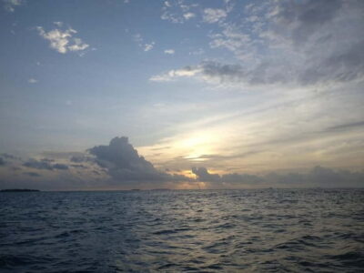 Maldives: Sunset Cruise with Dolphin Watching - The rhythm of the 2-hour cruise: what your time window feels like