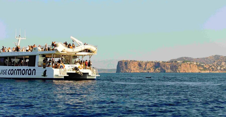 Mallorca: 2-Hour Dolphin Watching Cruise & Glass-Bottom Boat - Who This Cruise Is Best For (And Who Might Want Something Else)