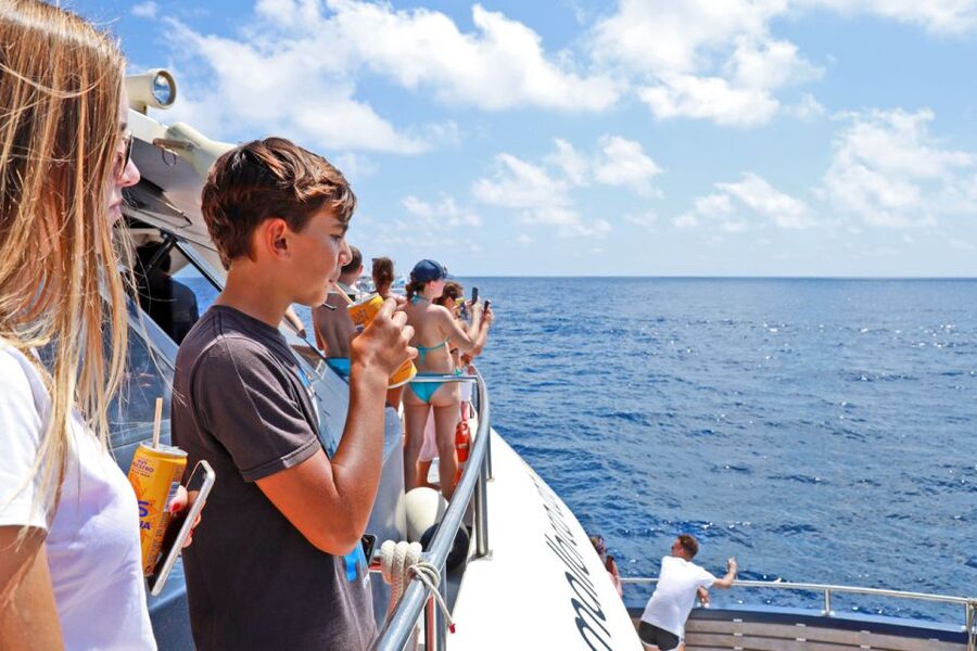 Mallorca: 2-Hour Dolphin Watching Cruise & Glass-Bottom Boat - Getting There Without Stress: Meeting Point Timing and Real-World Tips