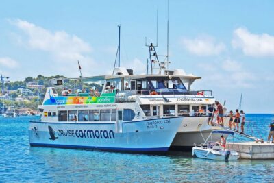 Mallorca: Dolphin Watching Cruise - The 3-Hour Flow: Meeting, Sail-Out, Dolphin Spotting, Swim Stop