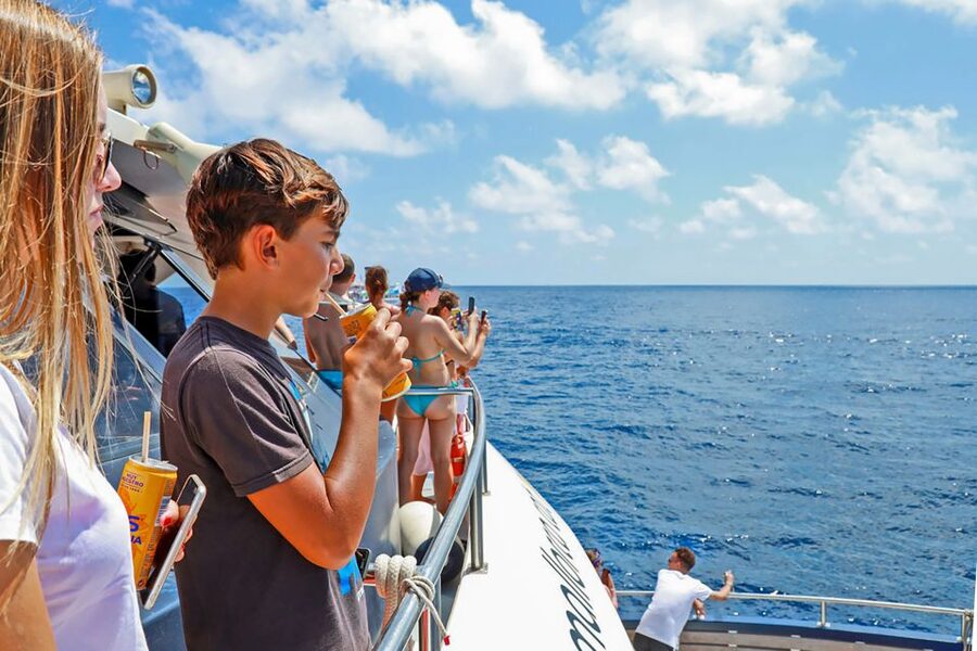 Mallorca: Dolphin Watching Cruise - Swim Stop Tips: Getting the Most Out of the Water Time