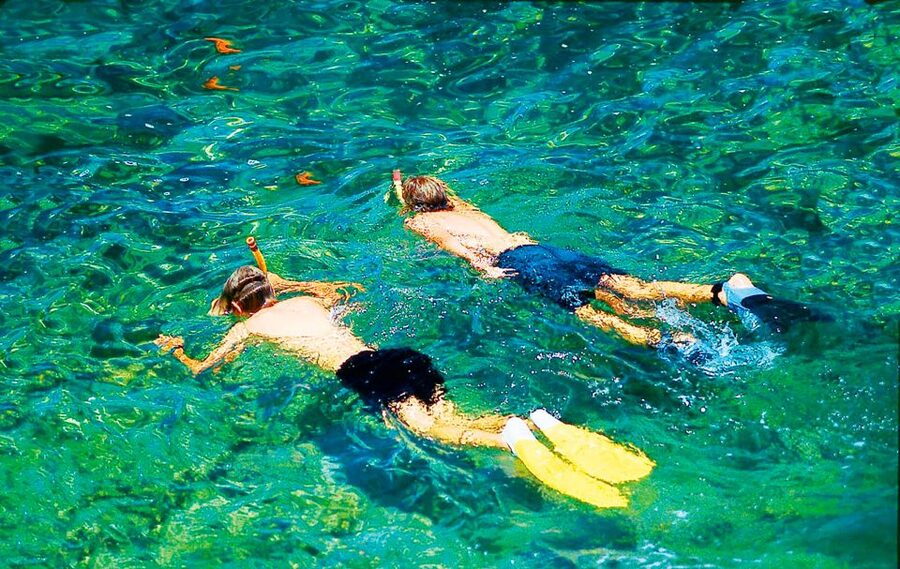 Mallorca: Dolphin Watching Cruise - Who This Cruise Fits Best (and When to Choose Another Day)