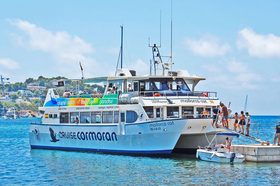 Mallorca: Dolphin Watching Cruise - The 3-Hour Flow: Meeting, Sail-Out, Dolphin Spotting, Swim Stop