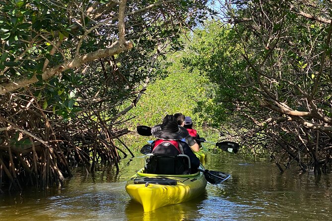 Manatee and Dolphin Kayak Tour - Key Highlights to Know Before You Go