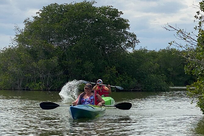 Manatee and Dolphin Kayak Tour - Wildlife Search for Manatees and Dolphins (Nothing Is Guaranteed)