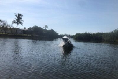 Manatee and Dolphin Kayak Tour - Thousand Island Conservation: What You Do on the Water