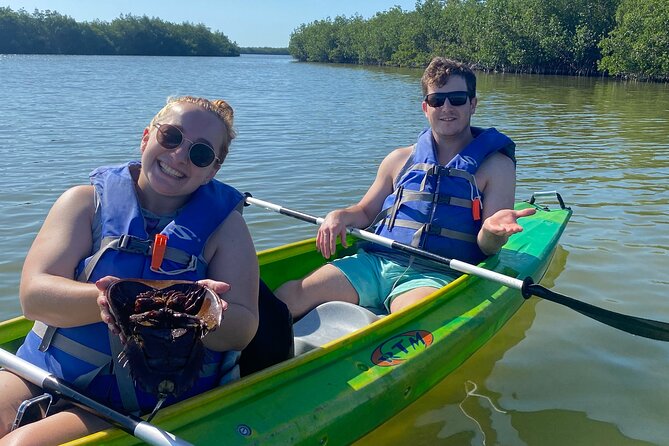 Manatee and Dolphin Kayak Tour - Price and Value: Is This $50 Tour Worth It?