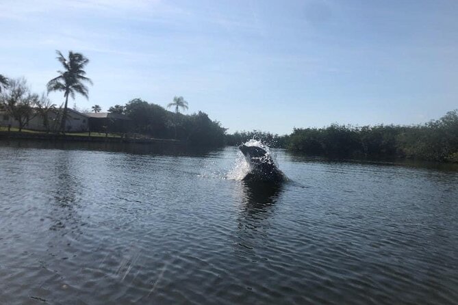 Manatee and Dolphin Kayak Tour - Thousand Island Conservation: What You Do on the Water