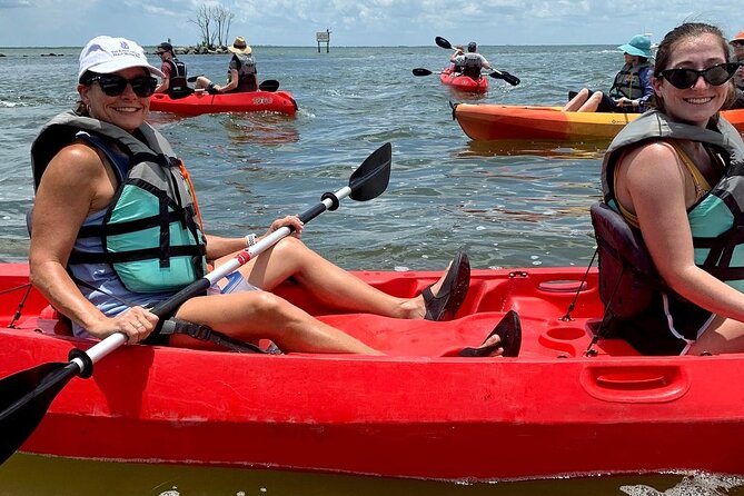Manatee and Dolphin Kayaking Encounter - Merritt Island National Wildlife Refuge: how the guide shapes your experience
