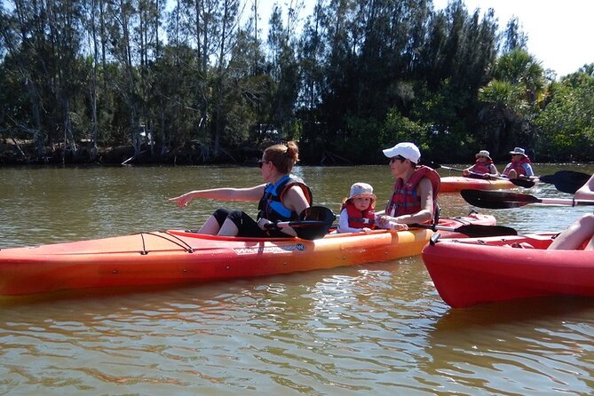 Manatee and Dolphin Kayaking Encounter - Stop on the water: finding manatees without forcing the moment