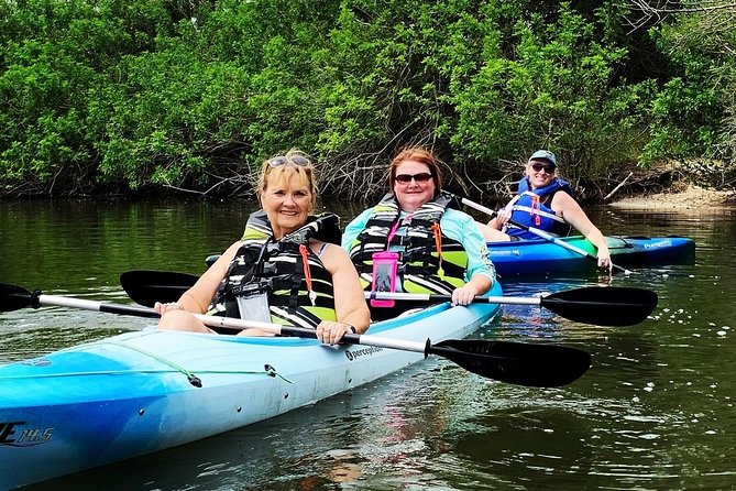 Manatee and Dolphin Kayaking Encounter - Dolphins: the chase is optional, the sightings are the payoff