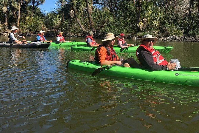 Manatee and Dolphin Kayaking Encounter - Weather, wind, and water traffic: why your comfort level can vary