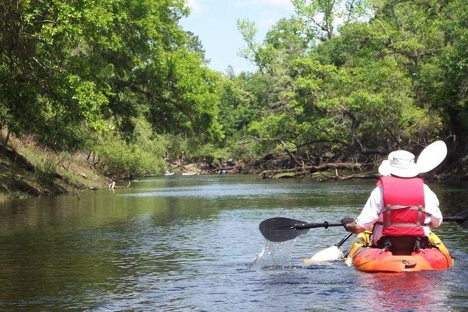 Manatee and Dolphin Kayaking Encounter - Gear and clothing: the practical stuff that makes or breaks comfort