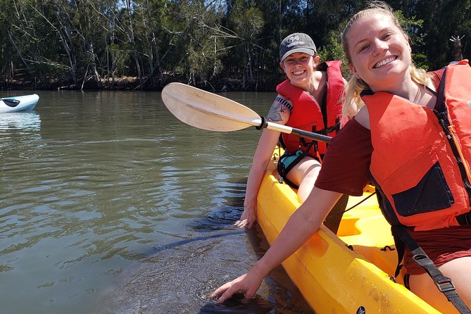 Manatee and Dolphin Kayaking | Wildlife Refuge (Titusville) - Key Points Worth Knowing Before You Go