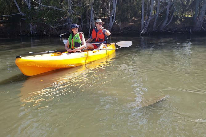 Manatee and Dolphin Kayaking | Wildlife Refuge (Titusville) - Florida Adventurer Check-In and What Happens Before You Paddle