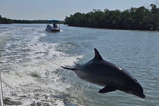 Manatee, Dolphin, and 10,000 Islands Eco Beach Tour by Boat - Key things to know before you go