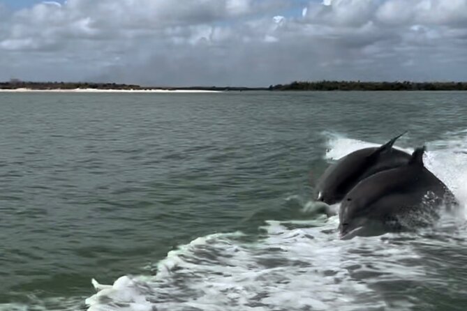 Manatee, Dolphin, and 10,000 Islands Eco Beach Tour by Boat - From Naples to the Everglades: what the 3-hour pace really means