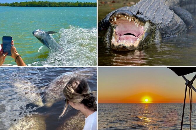 Manatee, Dolphin and 10,000 Islands Sunset Cruise! - Key things I’d pay attention to before you go