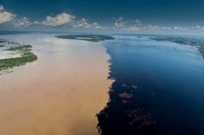 Manaus: Meeting of the Waters & Pink Dolphin Tour with Lunch - The Meeting of the Waters: Watching Two Rivers Behave Like They Disagree