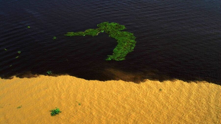 Manaus: Meeting of the Waters & Pink Dolphin Tour with Lunch - Canoe Trip Through Flood Forests: The Part Where Nature Gets Close